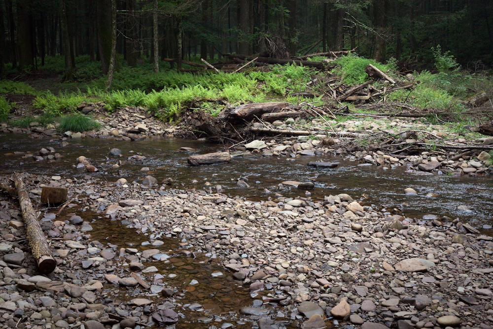 Much of the streambed is exposed due to low summertime water conditions. NEPA Freestone 2